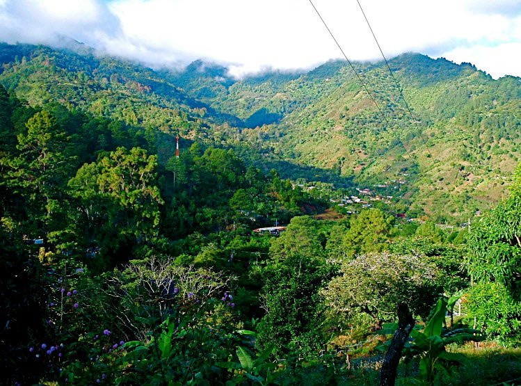 Parque Nacional La Tigra, Near Tegucigalpa, Honduras